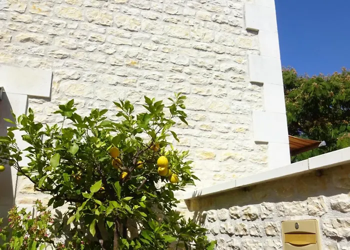 Gasthof Aux Orangers Luxé