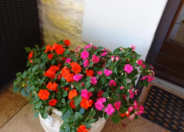 Gasthof Aux Orangers Luxé